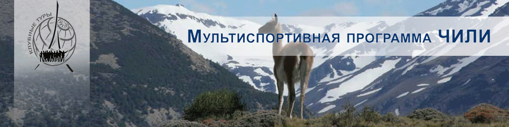 Чили 2014
